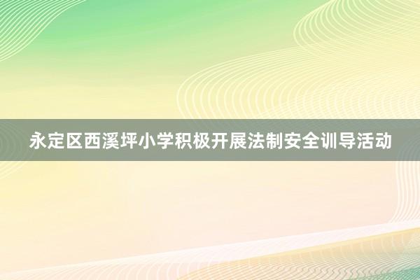 永定区西溪坪小学积极开展法制安全训导活动