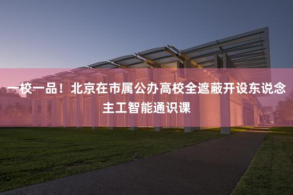 一校一品！北京在市属公办高校全遮蔽开设东说念主工智能通识课