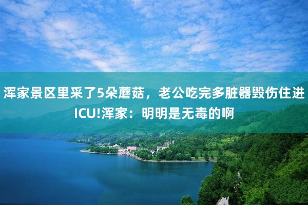 浑家景区里采了5朵蘑菇，老公吃完多脏器毁伤住进ICU!浑家：明明是无毒的啊