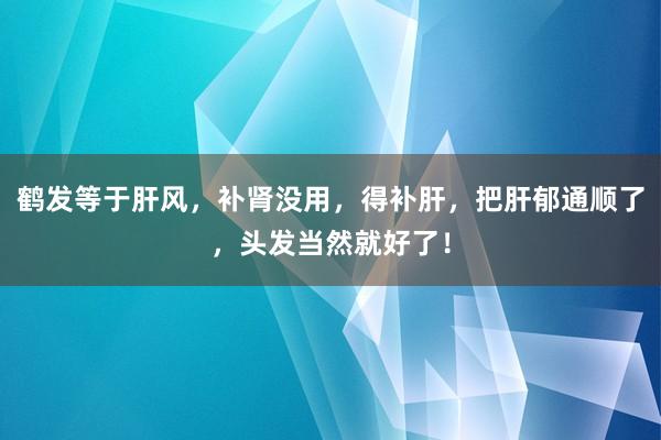 鹤发等于肝风，补肾没用，得补肝，把肝郁通顺了，头发当然就好了！