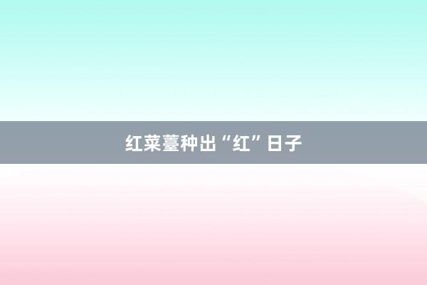 红菜薹种出“红”日子