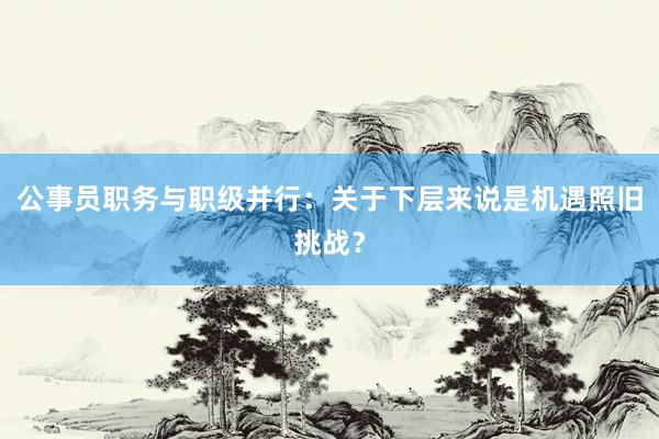 公事员职务与职级并行：关于下层来说是机遇照旧挑战？