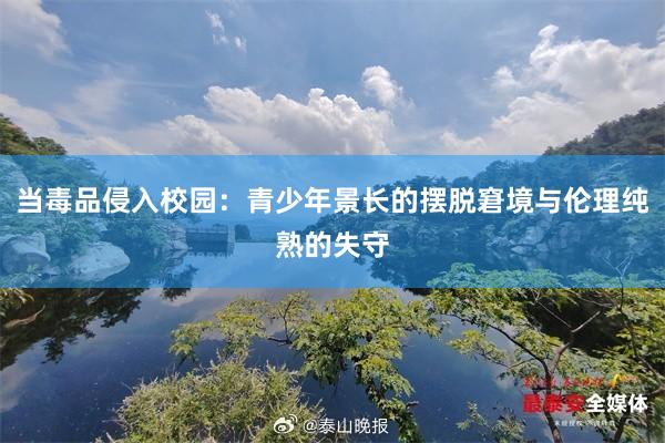 当毒品侵入校园：青少年景长的摆脱窘境与伦理纯熟的失守